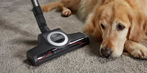 Say 'Paws' to pet hair problems with our choice of pet friendly vacuums.